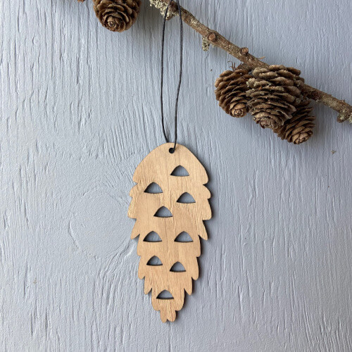 Egetræs finer kogle