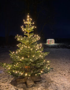 Danmark og Norden jul juletræmed lys 500x500