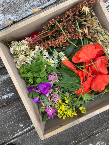 Gå til krea workshop