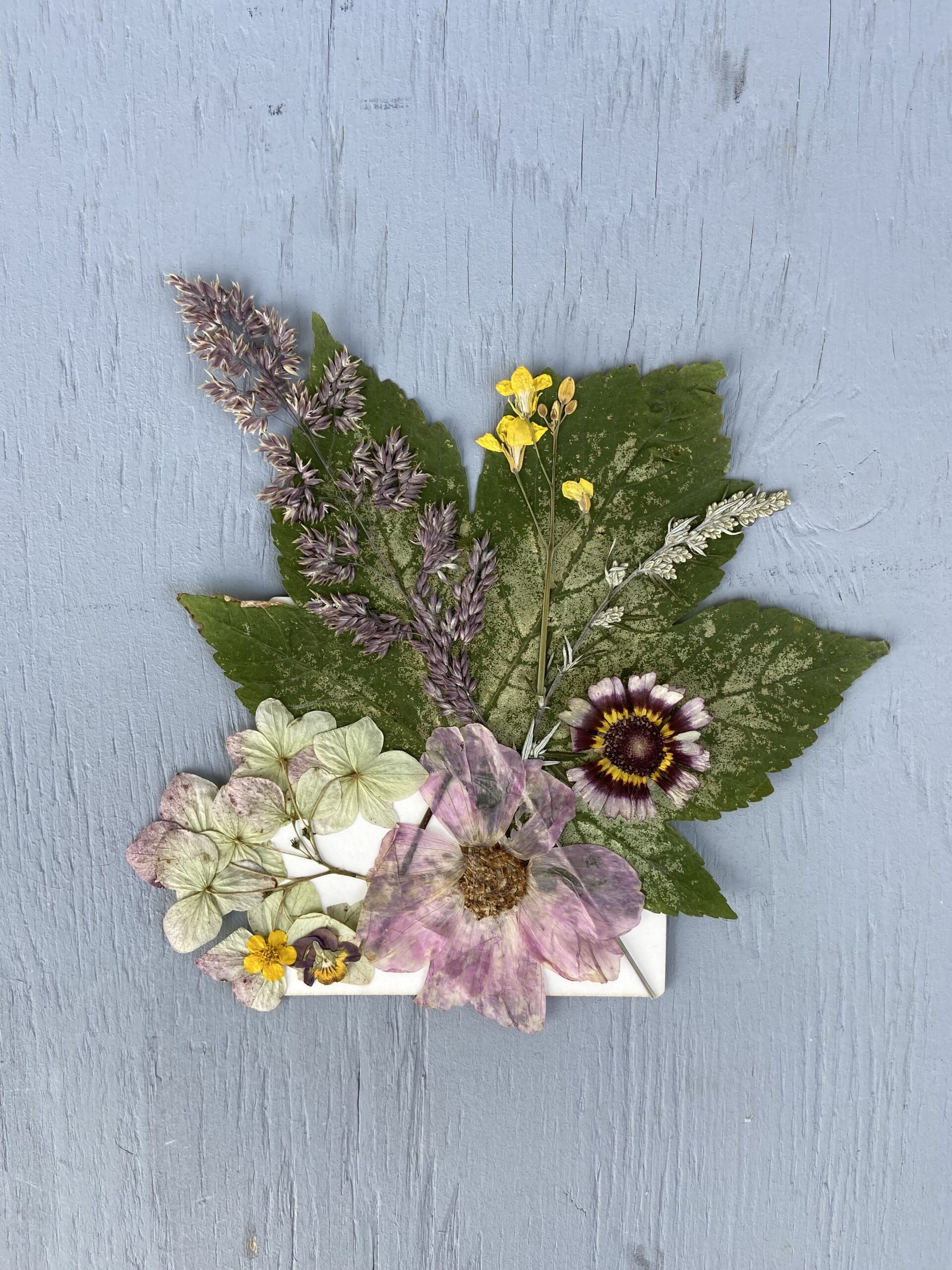 Vær kreativ i blomster baren - workshop med danske blomster og planter presset af Annette fra Danmark & Norden
