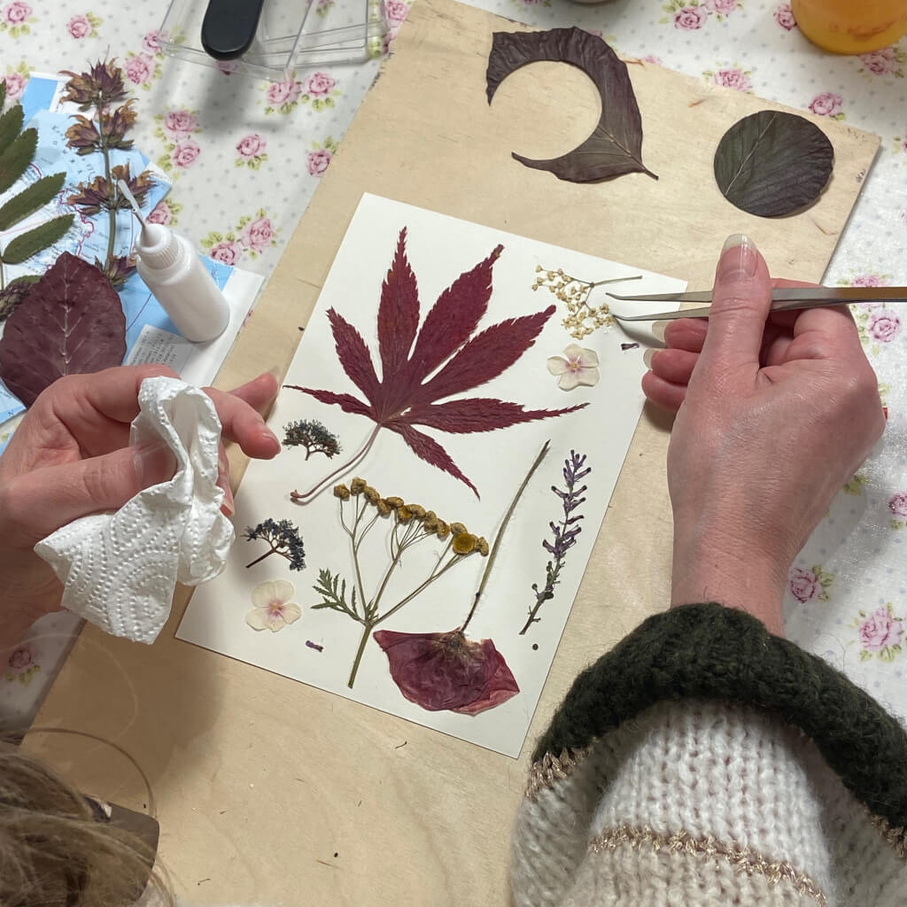 skab smukke billeder med presset blomster fra naturen, vær kreativ i blomsterbaren